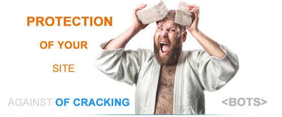 protection of cracking of your site against bots