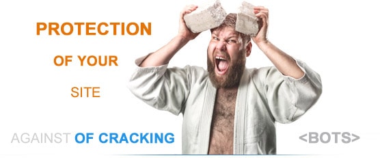 protection of cracking of your site against bots